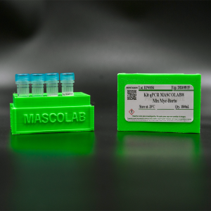 Mycoplasma sp